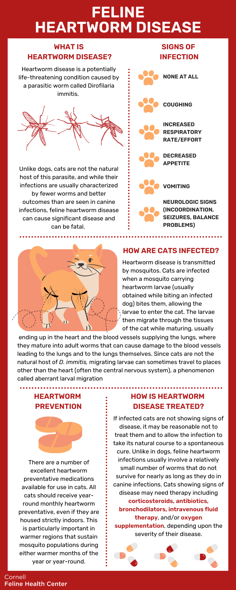 Heartworm in Cats Cornell University College of Veterinary Medicine